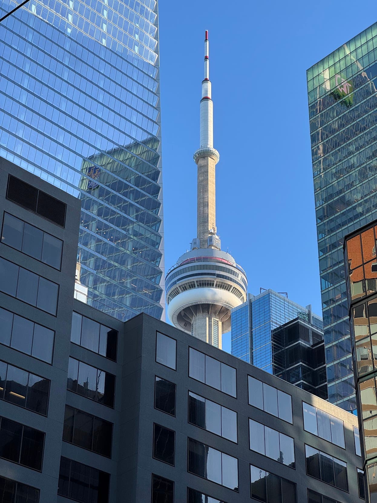 Wooden bridge in forest