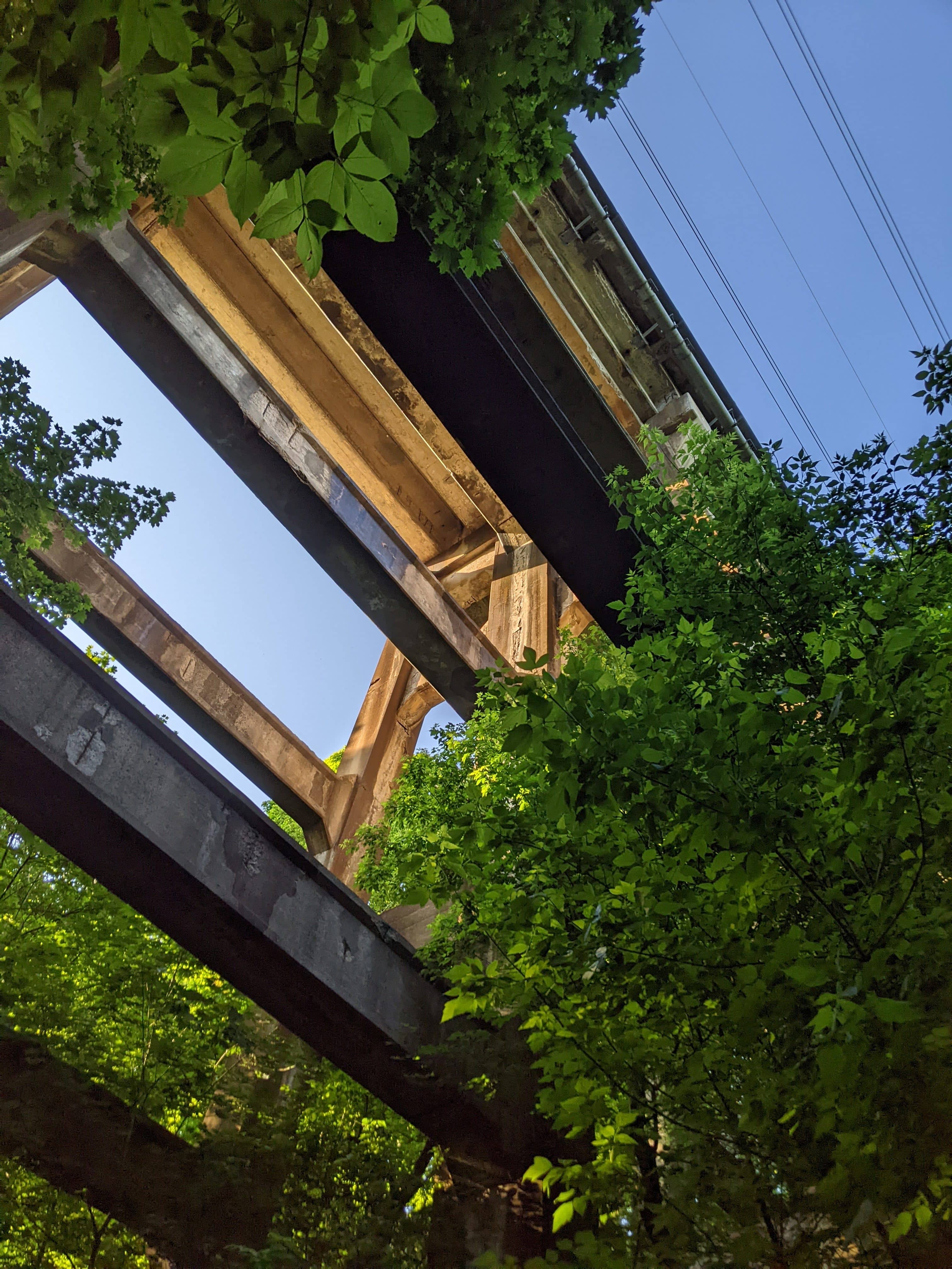 Window with greenery